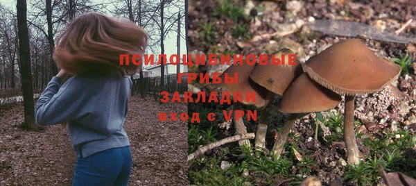 гашик Балабаново