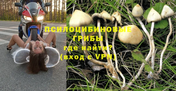 гашик Балабаново