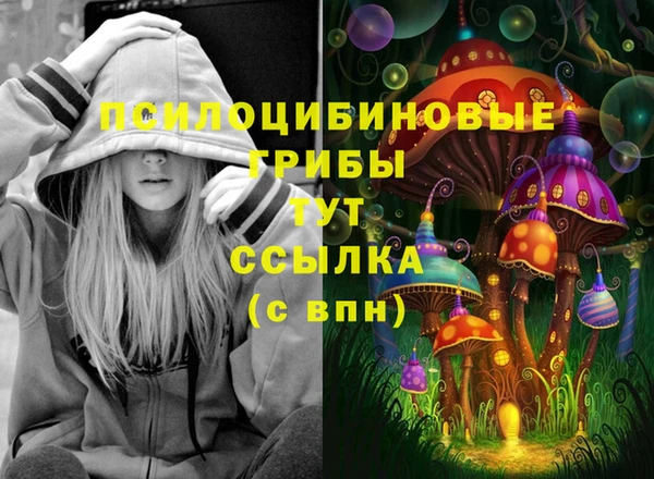 MDMA Premium VHQ Беломорск