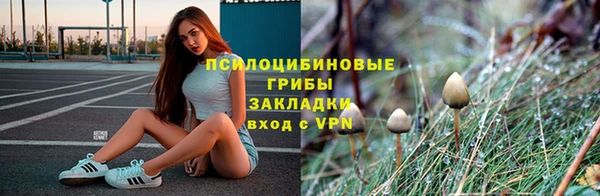 гашик Балабаново