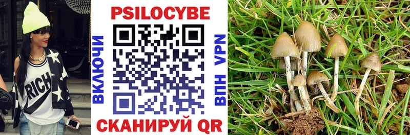 купить цена Выборг Галлюциногенные грибы Psilocybine cubensis