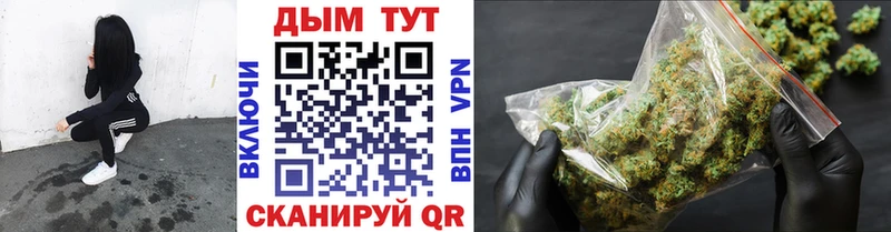 закладка  Выборг  мега зеркало  Конопля Ganja 